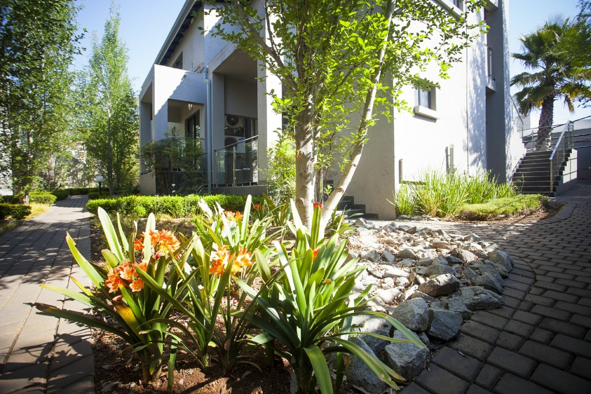 Villa Moyal Johannesbourg Extérieur photo